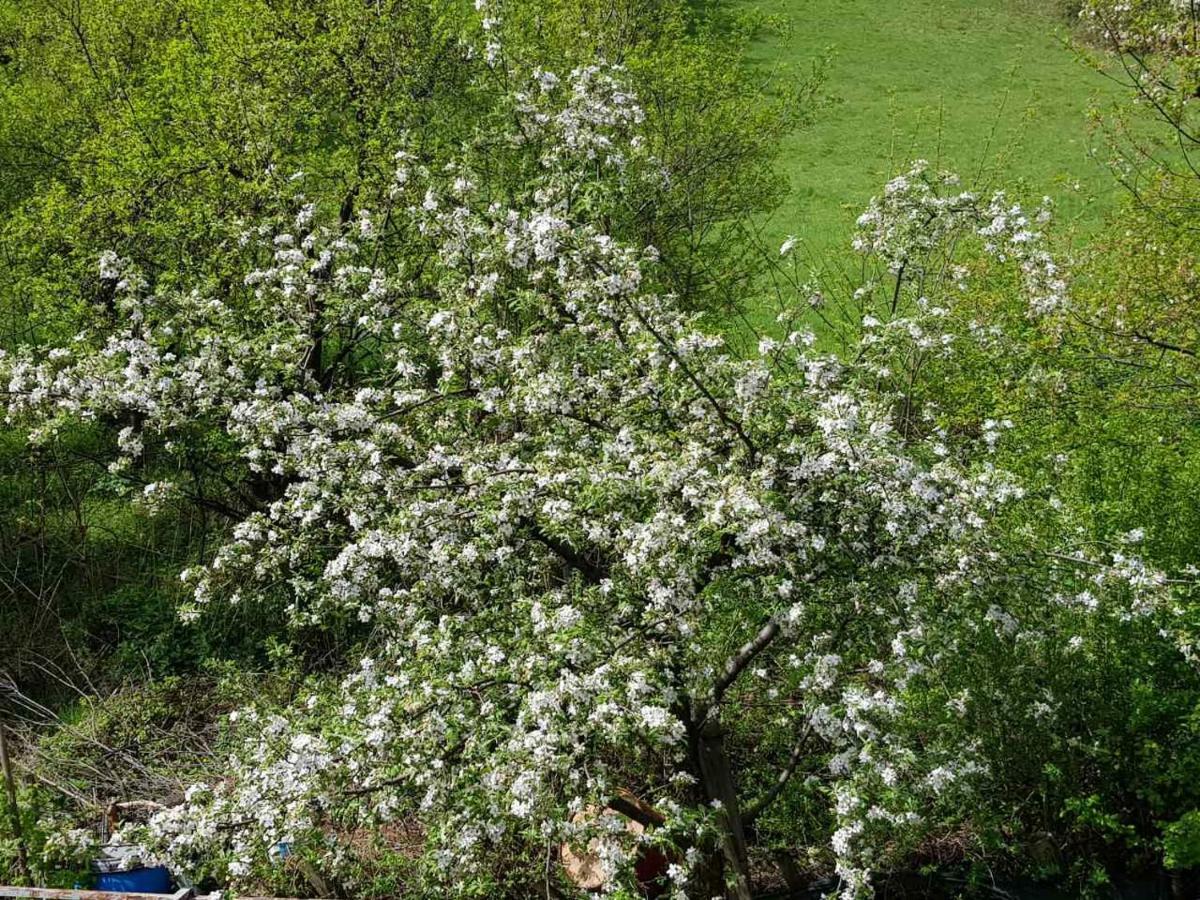 Visoko Homestay Esterno foto